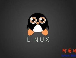 Linux虚拟机空间调整大小