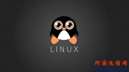 Linux虚拟机空间调整大小