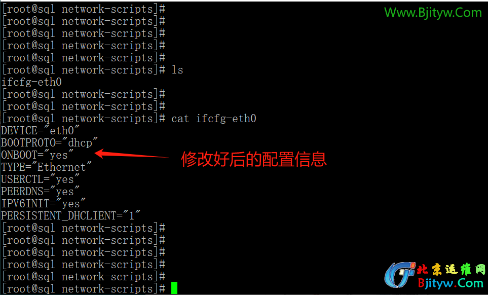 1742202518693.jpg 1742202518693.jpg